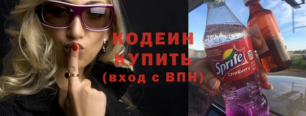 прущий лед Богданович