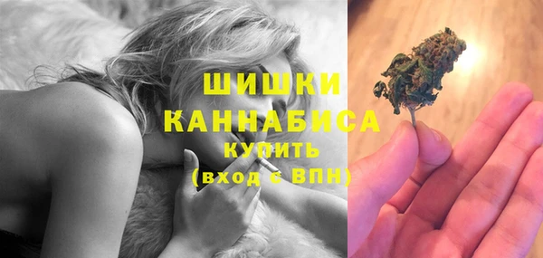 прущий лед Богданович