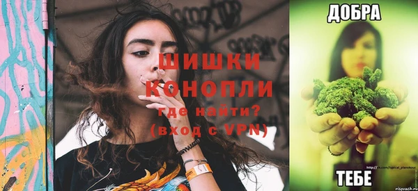прущий лед Богданович