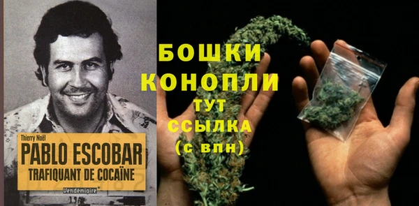 ПСИЛОЦИБИНОВЫЕ ГРИБЫ Богородск