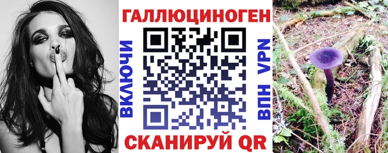 дарк нет наркотические препараты  Свирск  Псилоцибиновые грибы Psilocybine cubensis  MEGA маркетплейс 